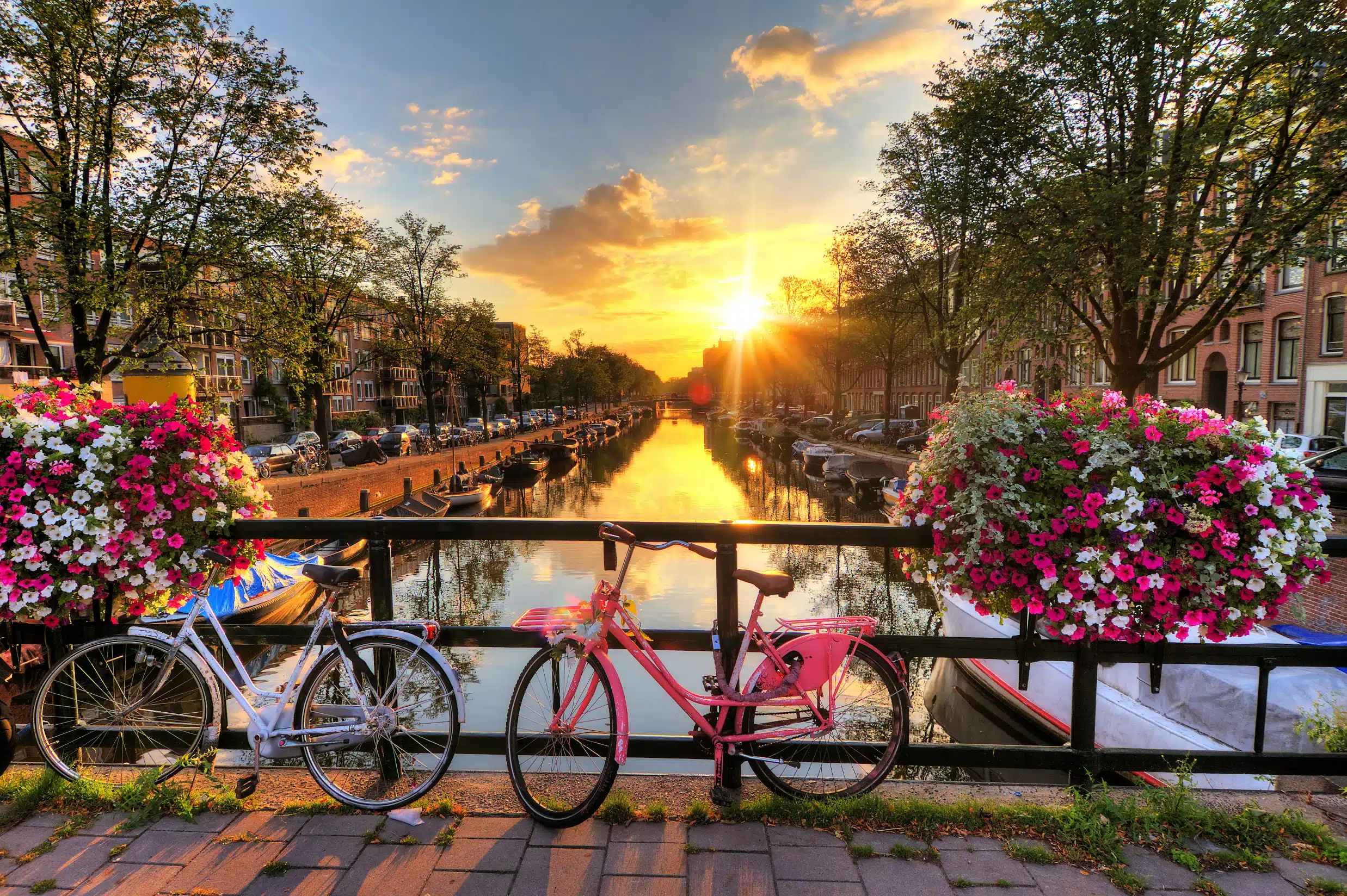 AMSTERDAM | Avio iz Sarajeva